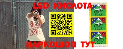 стафф Берёзовский