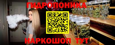apvp Бийск
