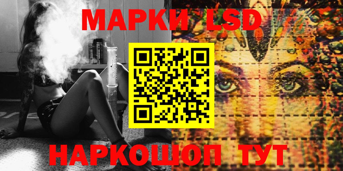 Бошки Шишки Канаш