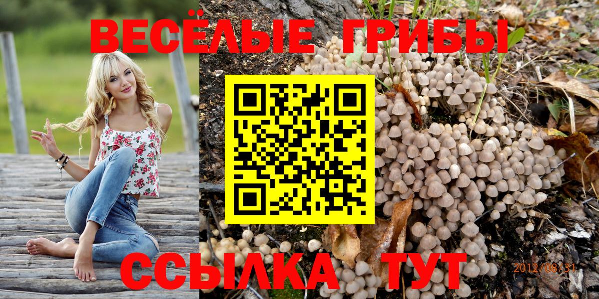 Псилоцибиновые грибы Psilocybine cubensis Канаш