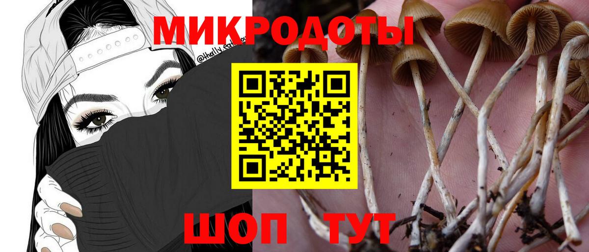 Канаш  Галлюциногенные грибы Psilocybine cubensis  Вход с VPN  Псилоцибиновые грибы Psilocybe 